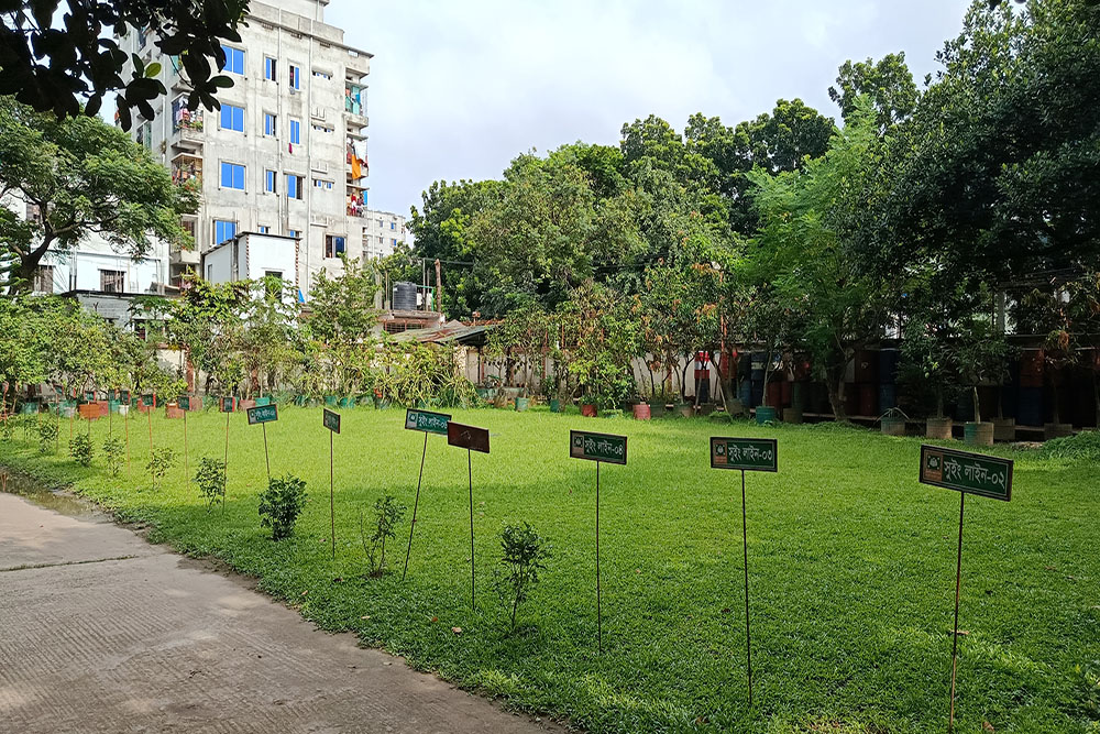 our-environment-2